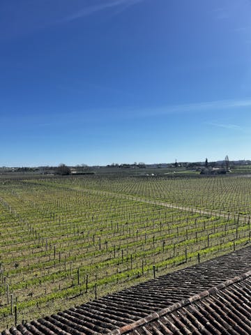 Petit-Village vineyard in Pomerol